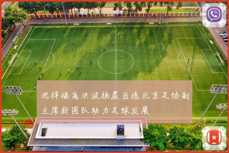 沈祥福高洪波杨晨当选北京足协副主席新团队助力足球发展
