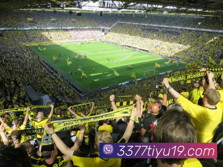 3377体育平台生态图