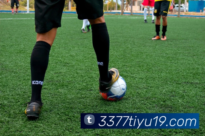 3377体育APP 封面图